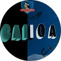 Calloaxd